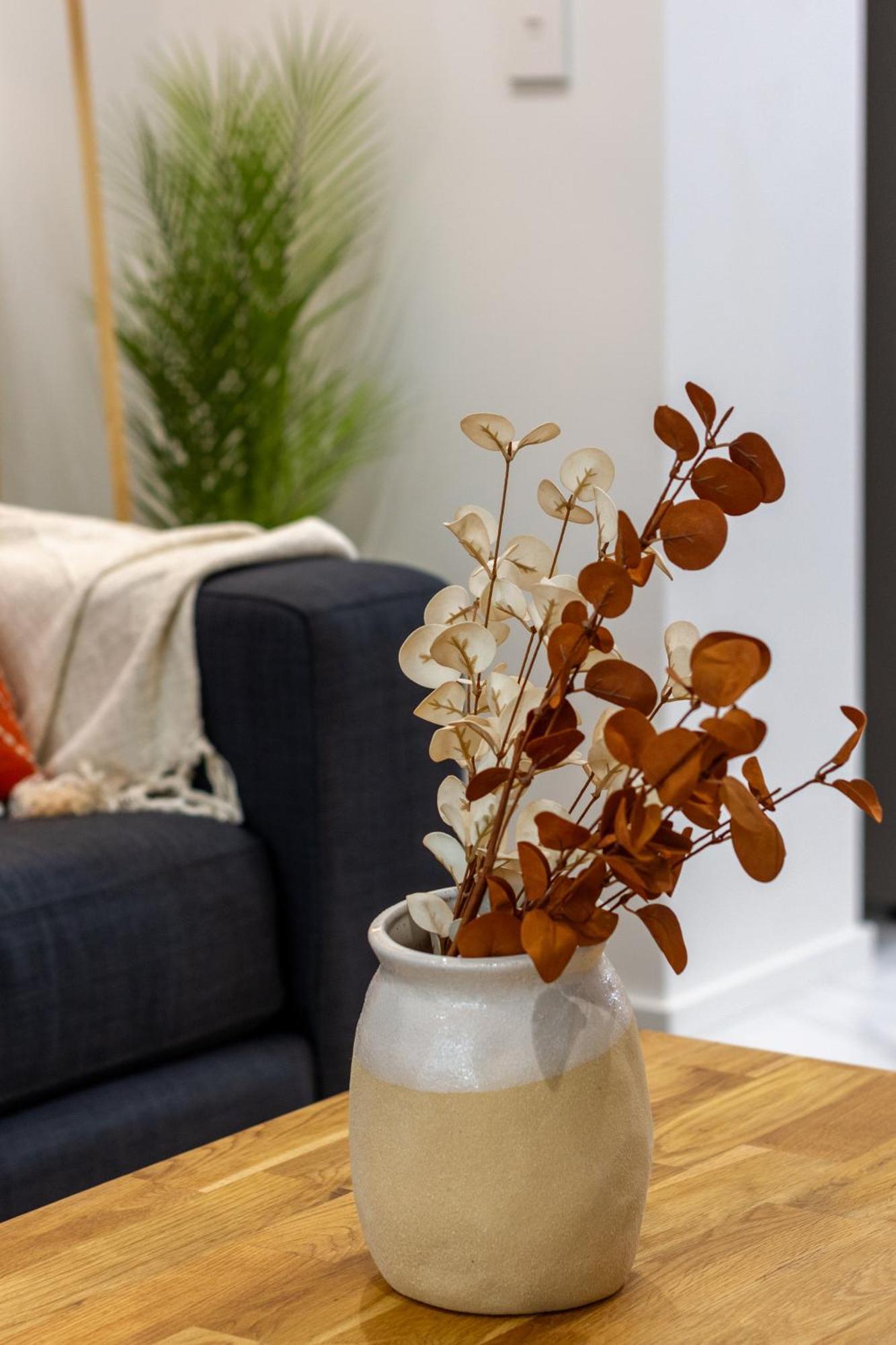 Modern City Lifestyle: 2 Bedroom 1 Bath Christchurch Exterior photo